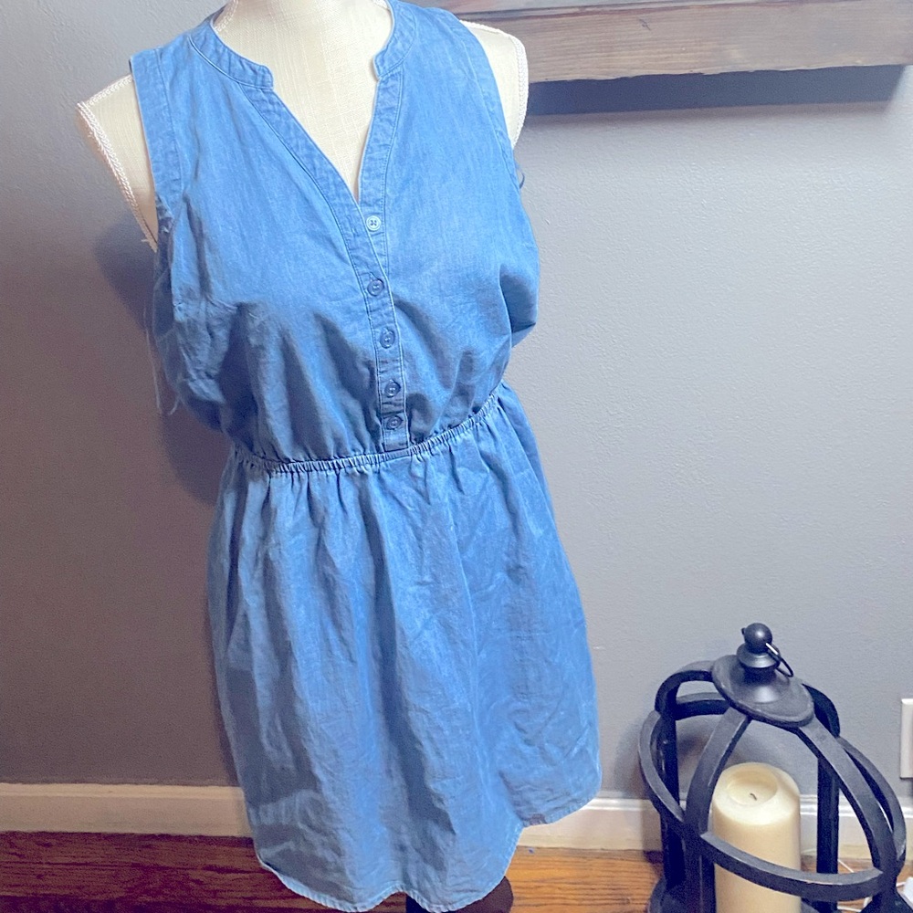 Pink Rose Light Blue Denim Dress